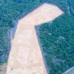 IMG-20251127-WA02031