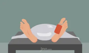 ilustrasi-mayat-ilustrator-rahayuning-putri-utamijpnncom-85