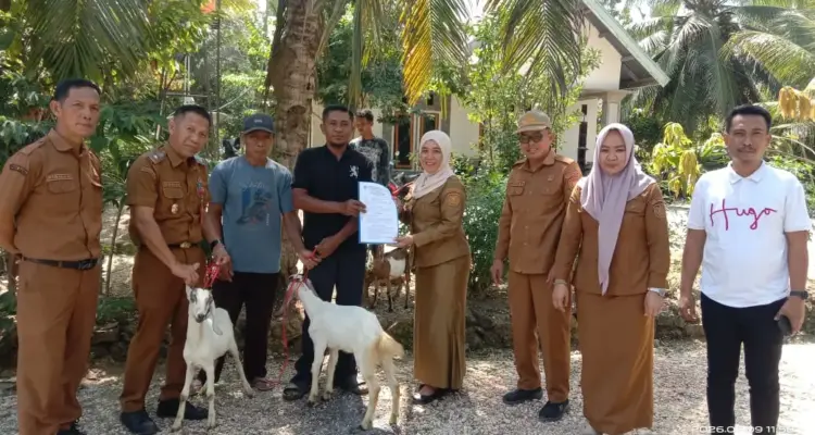 img-20260617-wa0087
